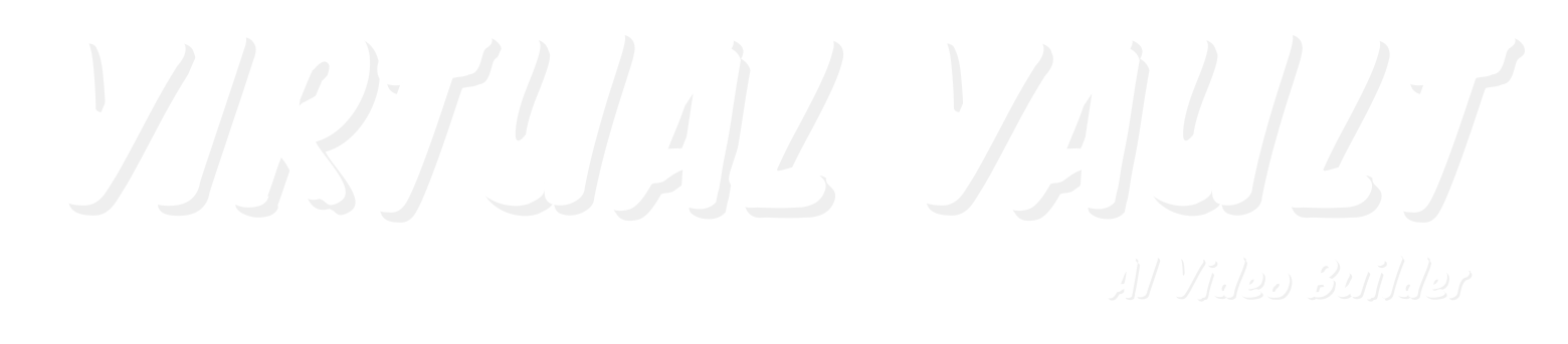 VirtualVault Logo